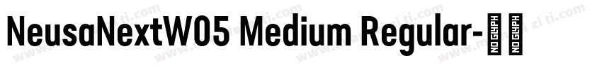 NeusaNextW05 Medium Regular字体转换